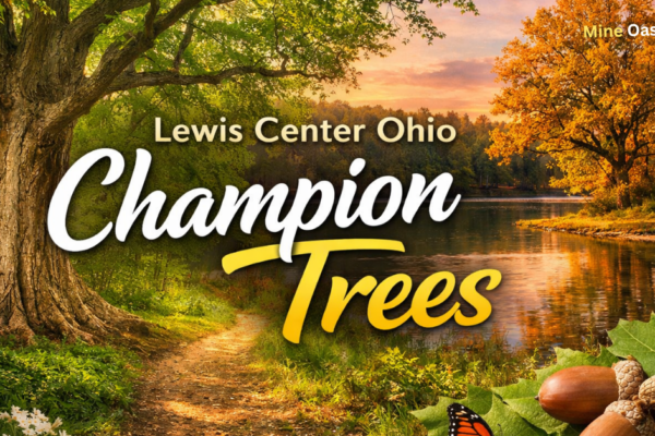 Lewis Center Ohio Champion Trees